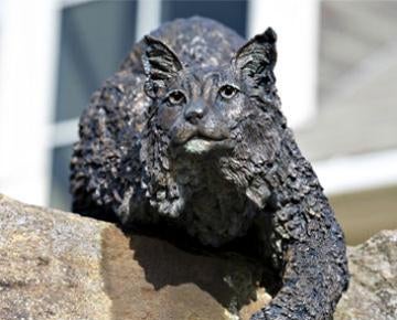 Statue of a bobcat, which is Pitt-Greensburg's mascot.