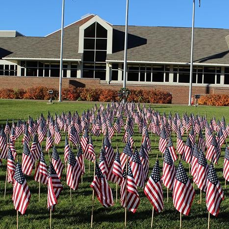 American flags displayed during Veterans Week at Pitt-Greensburg